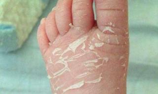 重庆月嫂培训机构